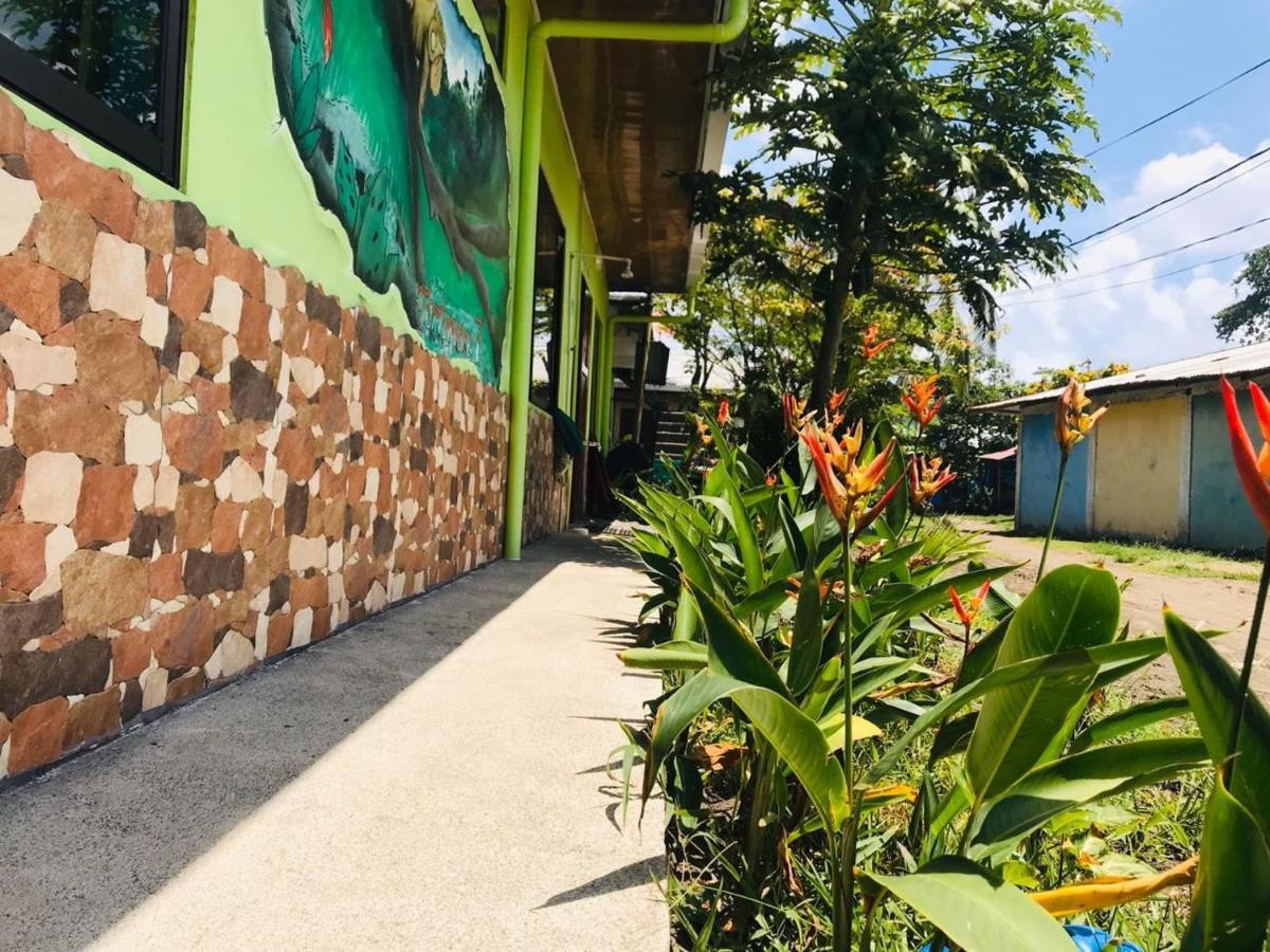 Hostel Tortuguero 7Backpackers エクステリア 写真