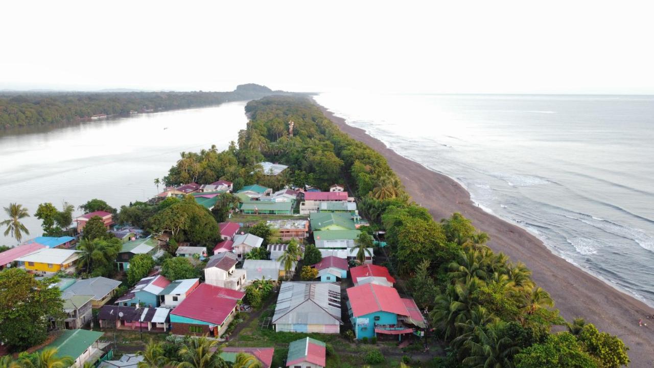 Hostel Tortuguero 7Backpackers エクステリア 写真