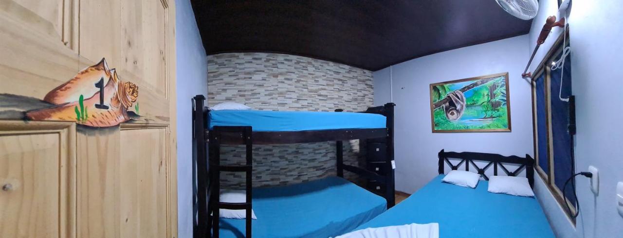 Hostel Tortuguero 7Backpackers エクステリア 写真