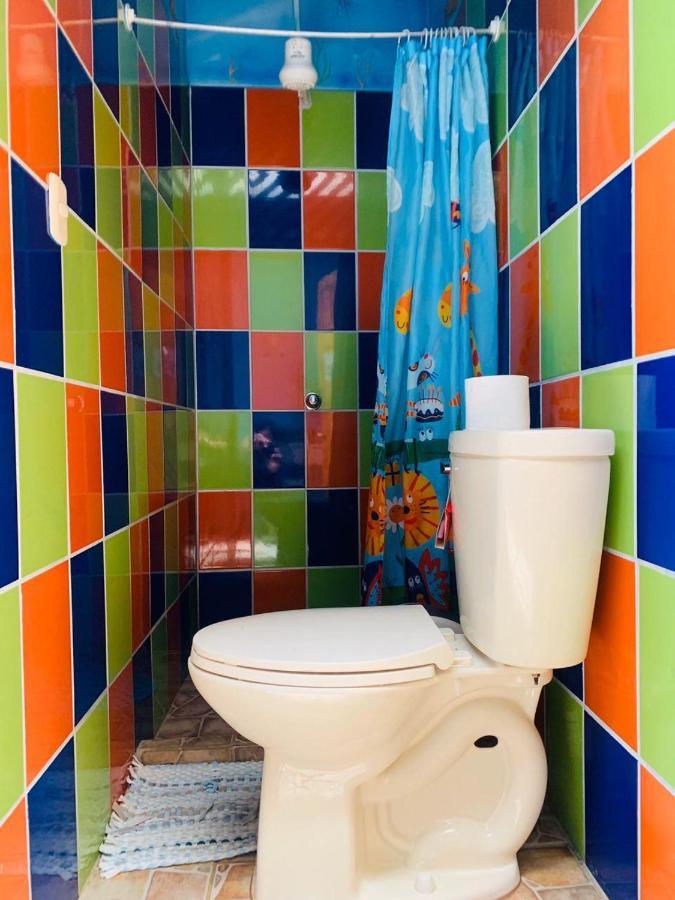 Hostel Tortuguero 7Backpackers エクステリア 写真