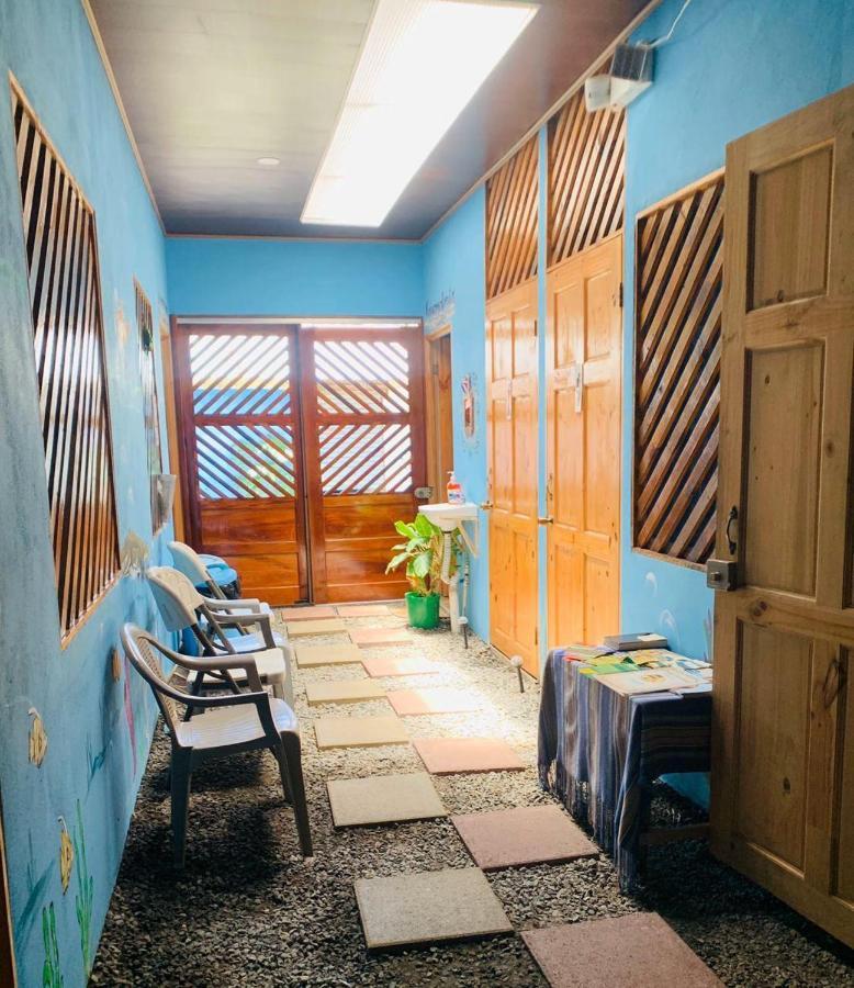 Hostel Tortuguero 7Backpackers エクステリア 写真