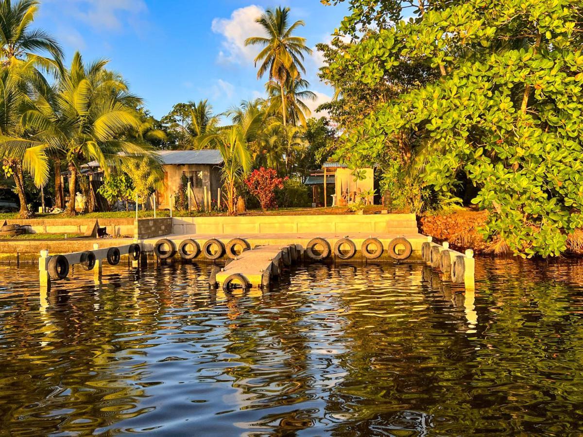 Hostel Tortuguero 7Backpackers エクステリア 写真