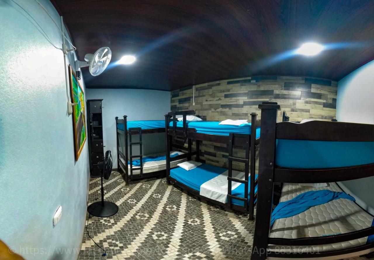 Hostel Tortuguero 7Backpackers エクステリア 写真