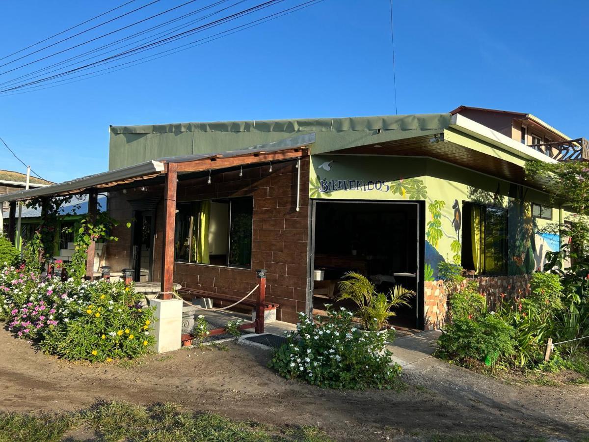 Hostel Tortuguero 7Backpackers エクステリア 写真