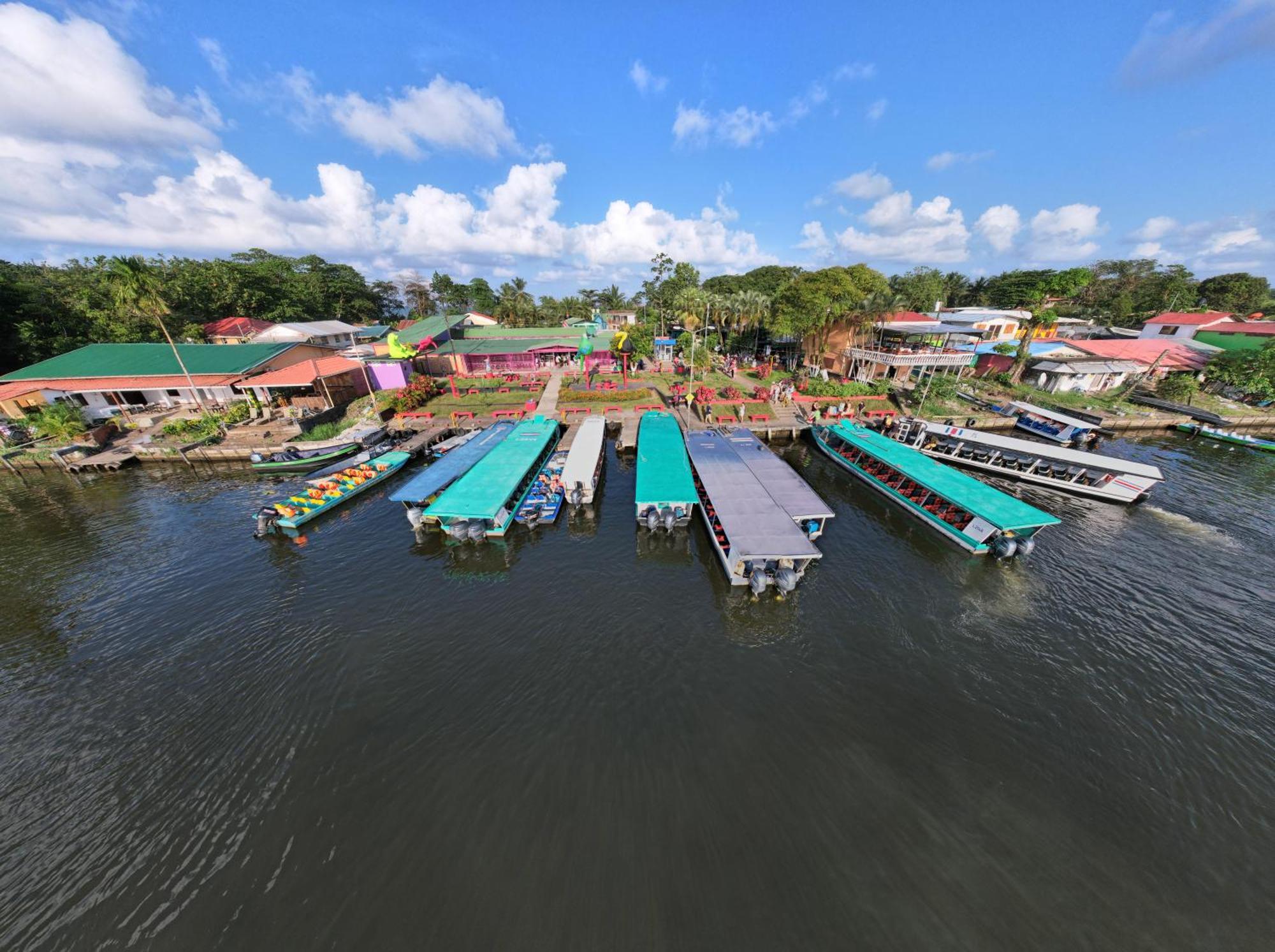 Hostel Tortuguero 7Backpackers エクステリア 写真
