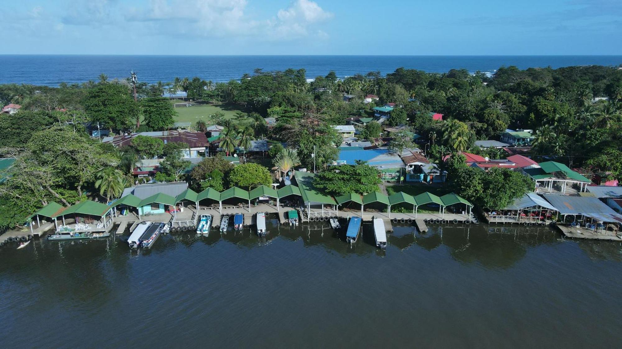 Hostel Tortuguero 7Backpackers エクステリア 写真