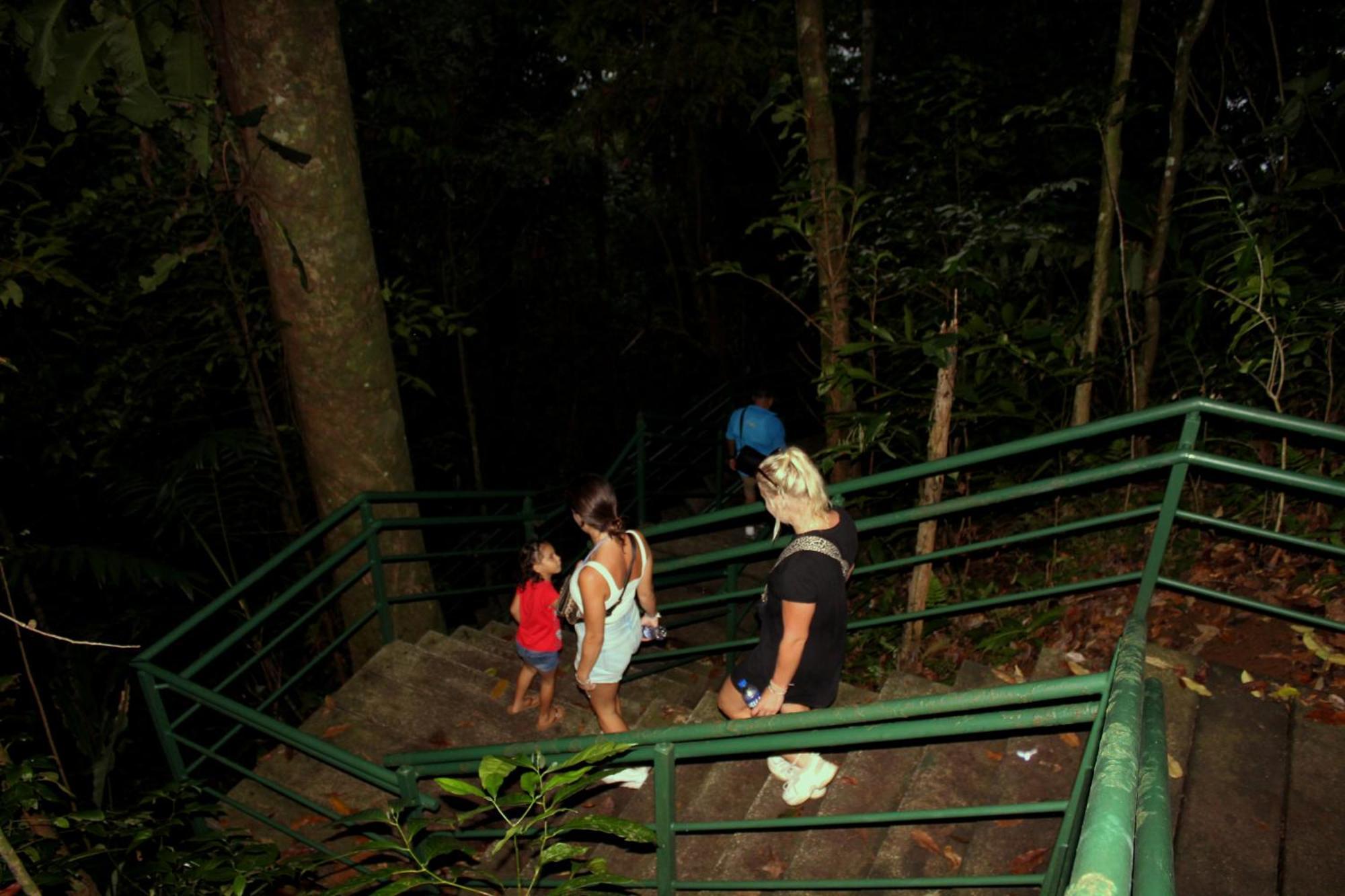 Hostel Tortuguero 7Backpackers エクステリア 写真