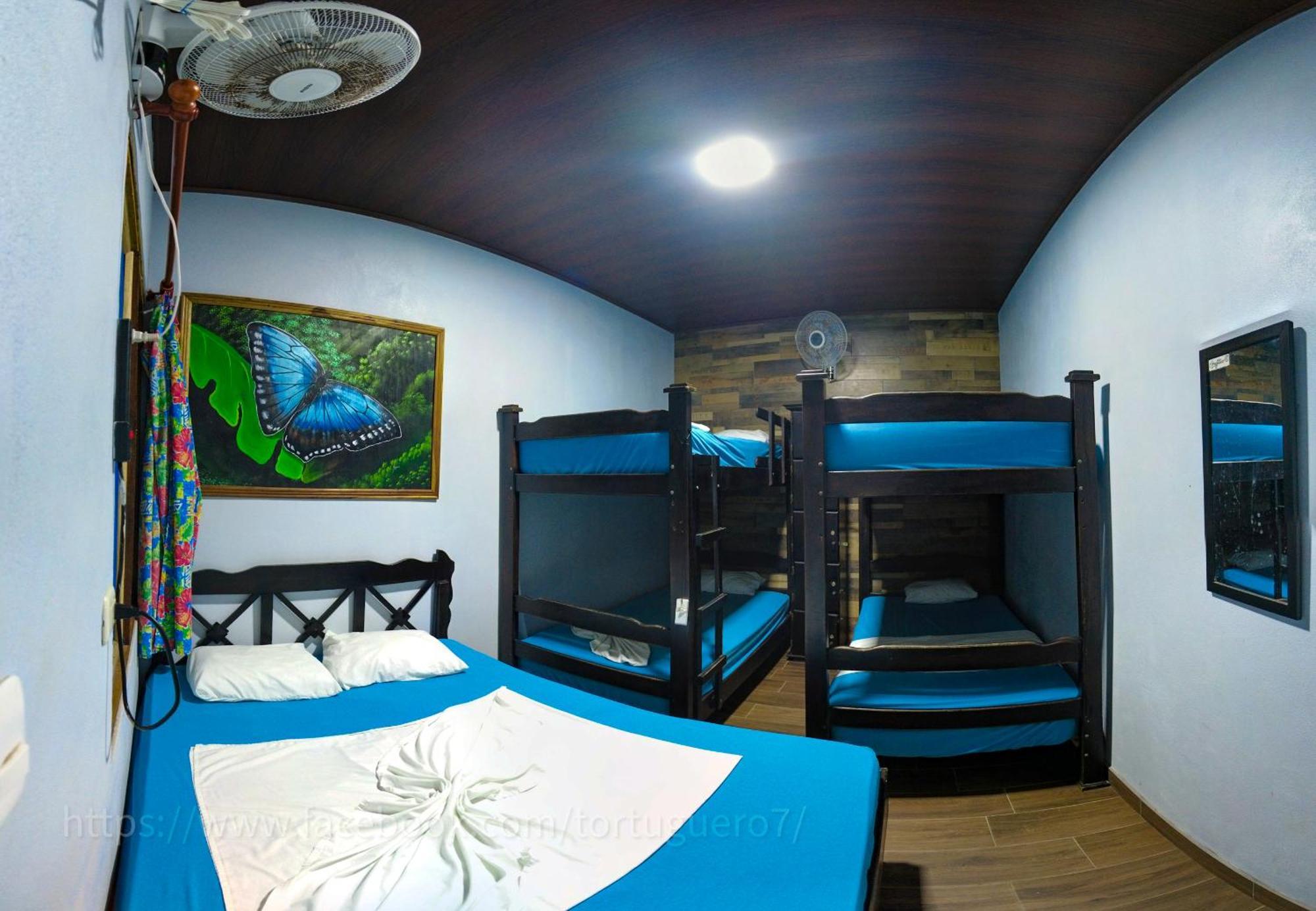Hostel Tortuguero 7Backpackers エクステリア 写真